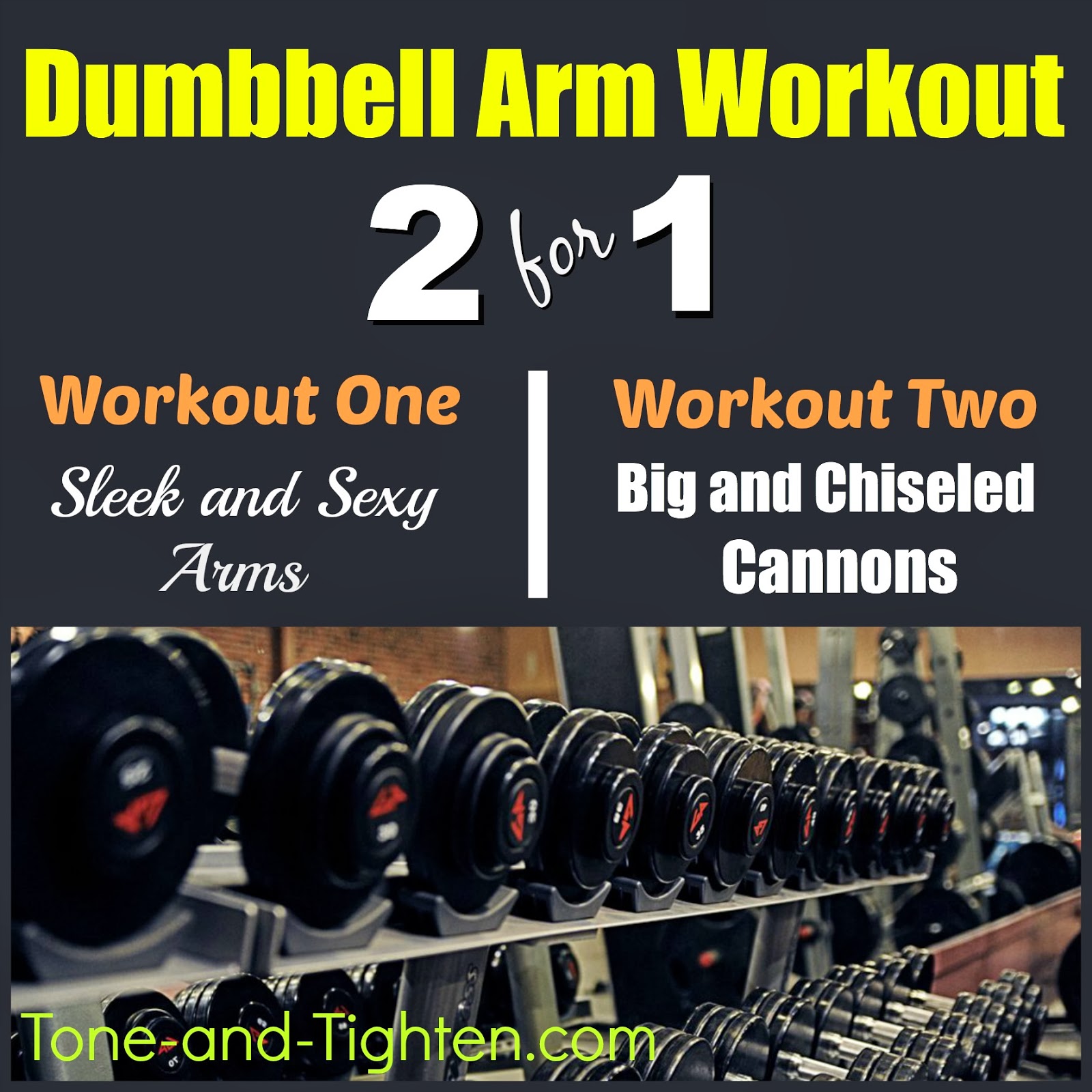 Dumbbell / Free Weight Arm Workout