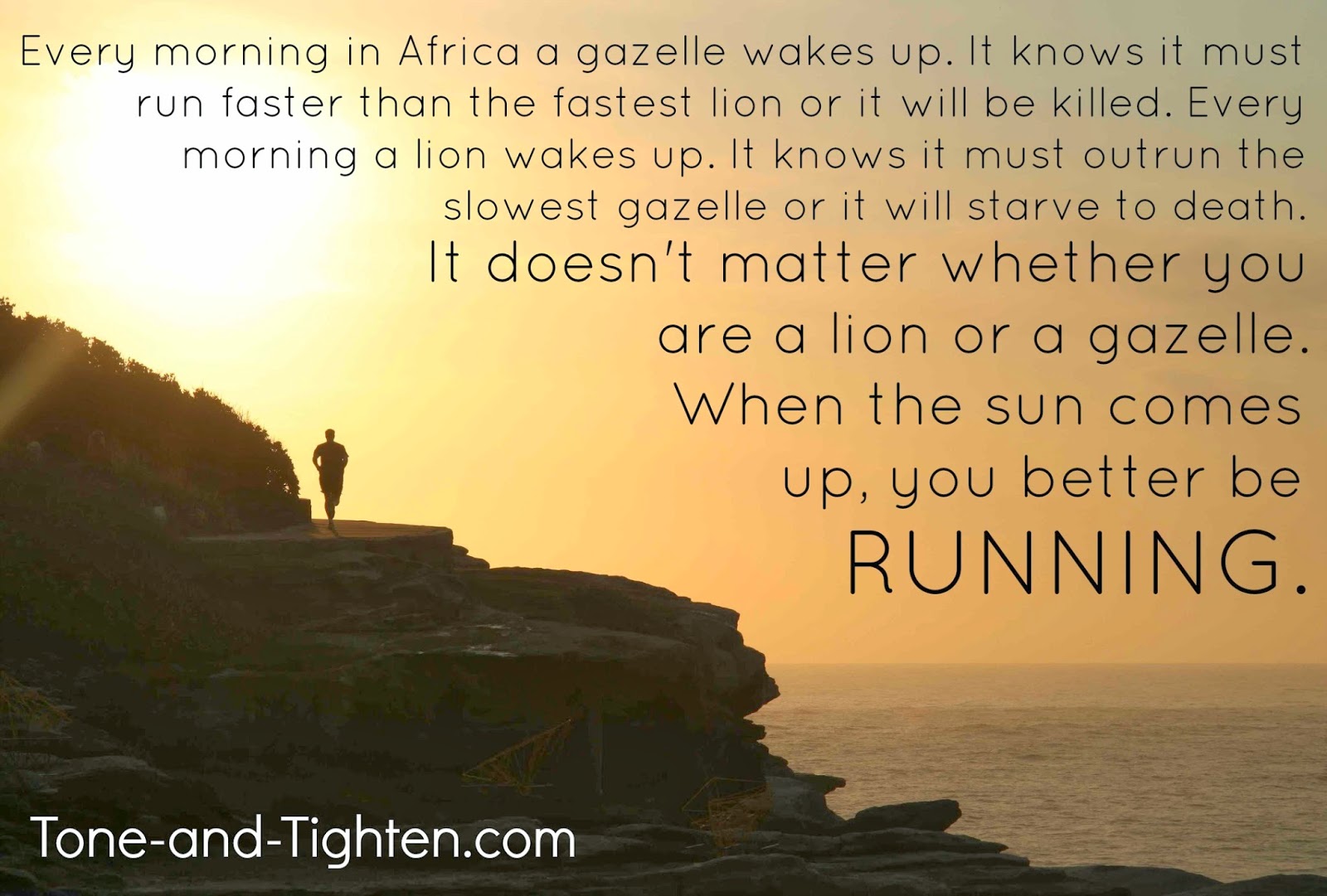 You are every day. Every morning. Every morning in Africa a gazzele Wakes up. It doesn’t matter whether you are a Lion or a Gazelle: when the Sun comes up, you’d better be Running.