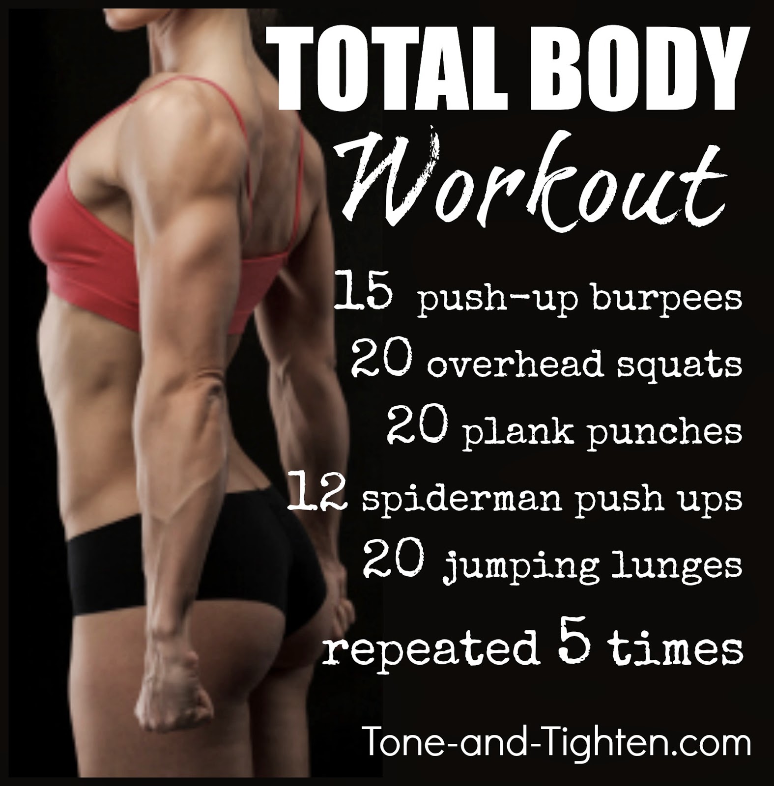 https://tone-and-tighten.com/2013/12/12-days-of-fitness-at-home-total-body-workout.html