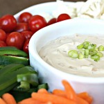 Greek Yogurt Onion Dip Recipe (only 2 ingredients)