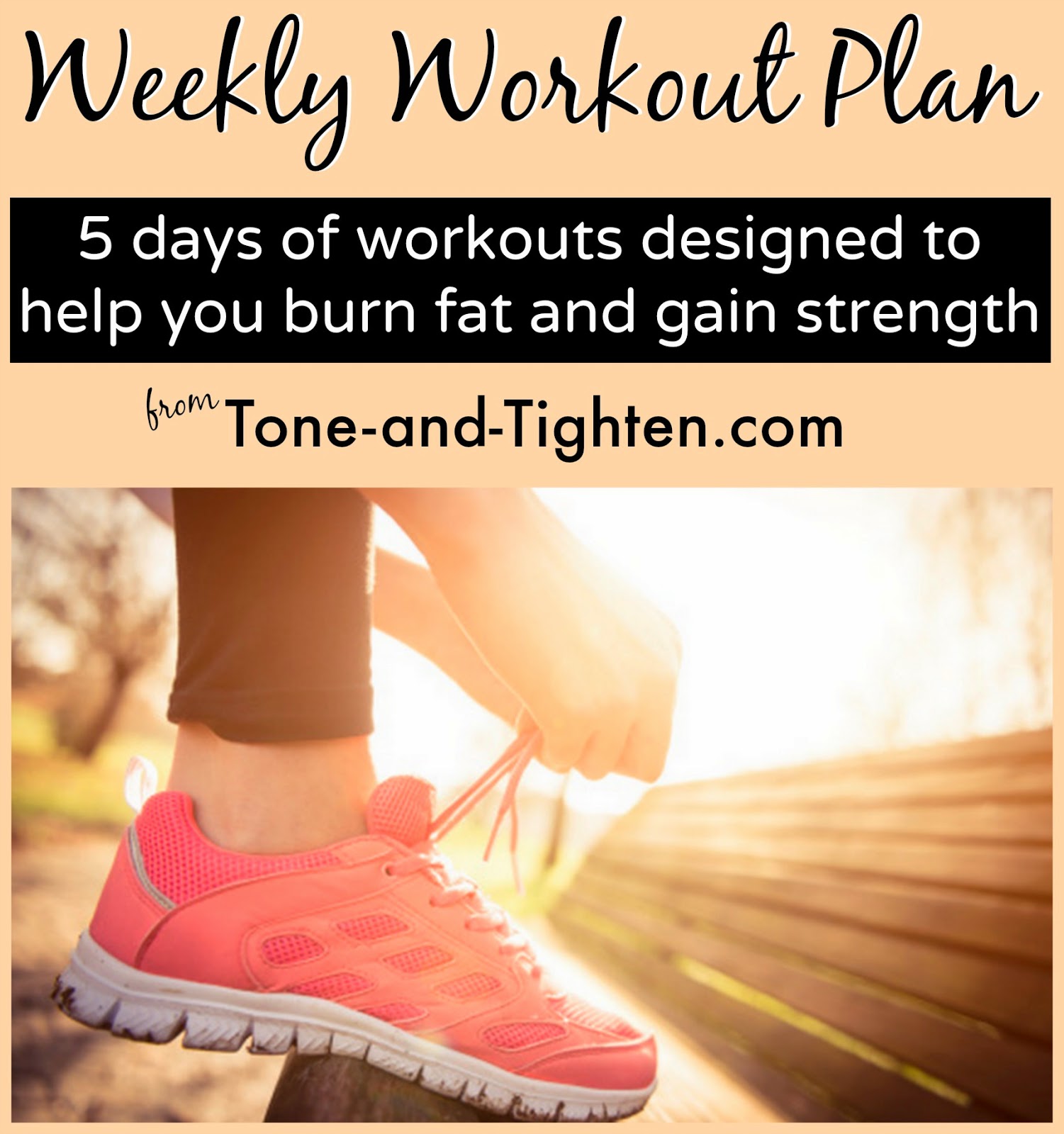 Weekly Workout Plan - Best Workouts To Burn Fat and Gain ...