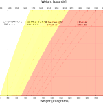 10 Workout Terms You Need To Know – Don’t get confused with terminology – get results!