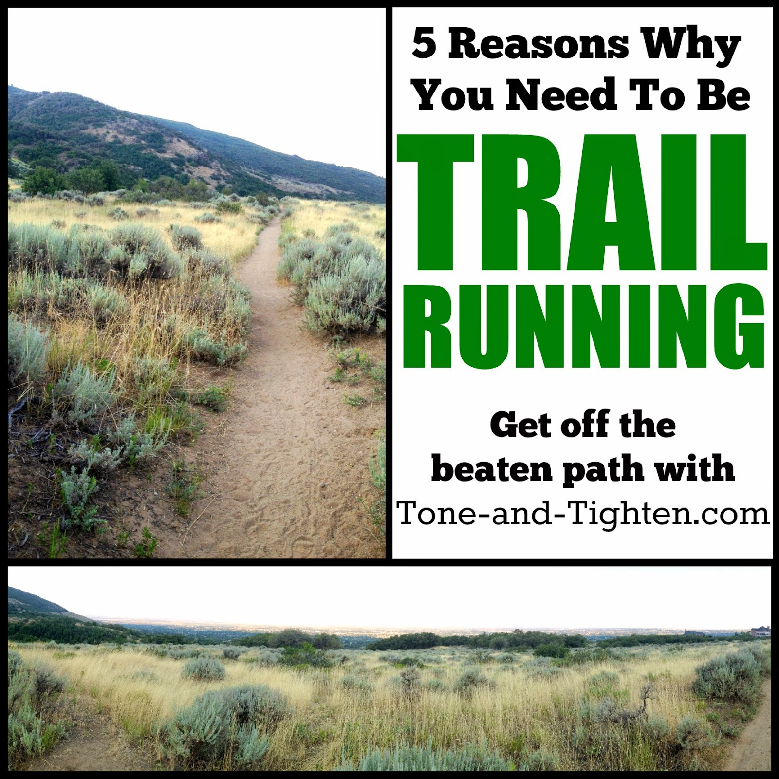 5 Reasons why you need to be trail running – Best benefits of leaving the road behind!
