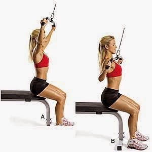 Cable Machine Upper Body Workout Tone And Tighten