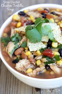 Chicken_Tortilla_Soup1