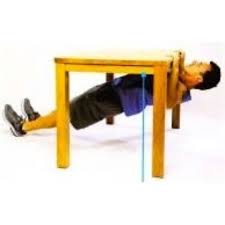 inverted row at home
