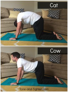 CatCow Yoga Pose