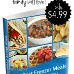 75 of the Best Freezer Meals