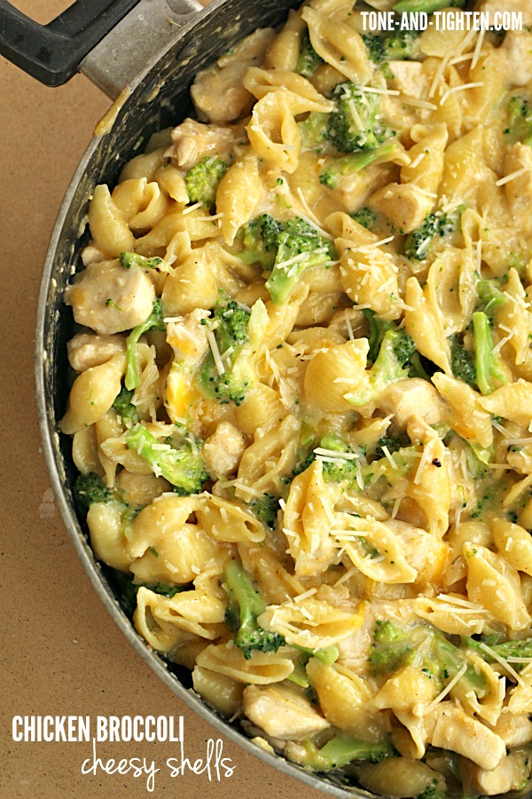 Chicken Broccoli Cheesy Shells on Tone-and-Tighten.com