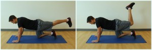 quadruped hamstring curl exercise