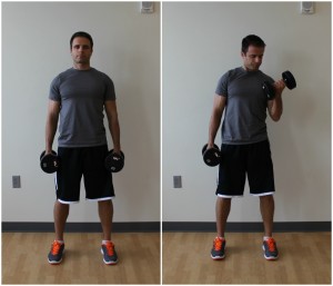 how to do a dumbbell biceps curl