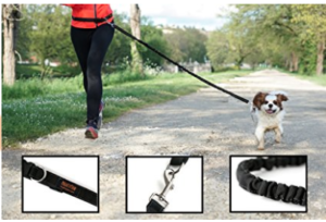 hands-free-dog-leash-for-runners