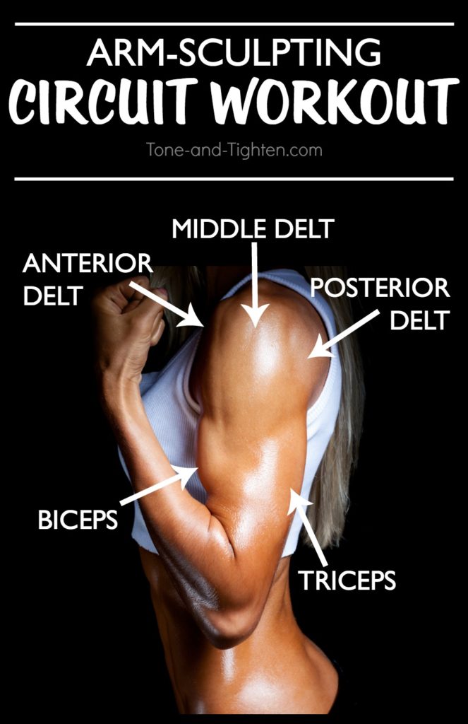 6 of the best moves you can do at home to improve your arm definition! Tone and tighten your arms with this awesome workout!