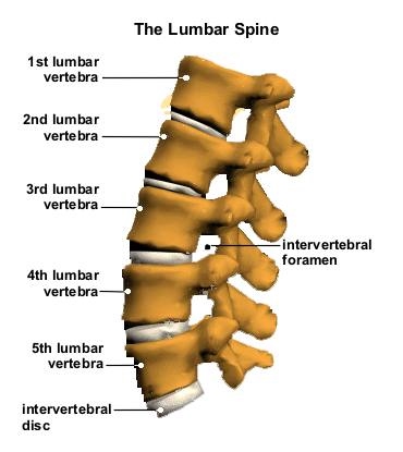 How to Treat Sciatica – Home Exercises | #site_title